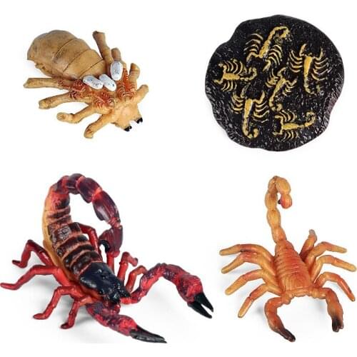 Simulation Animals Insect Centipede Scorpion Growth Cycle Action Figures Model Educational Cognitive Collection Cute Kids Toys