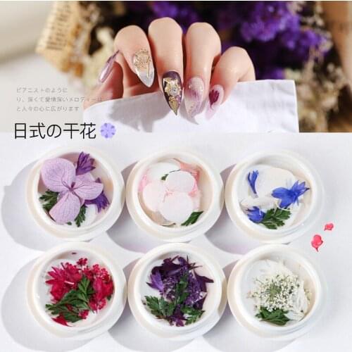 1Box Colorful Dried Flower 3D Nail Decoration Preserved Flower Manicure Nail Art Decoration
