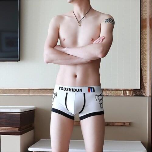 New Mens Underwear Boxers Cotton Breathable Moisture Wicking Hot Sale Mens Boxers Shorts