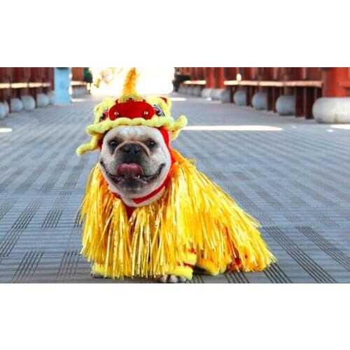 Pet clothing/Chinese traditional lion dance clothing/(suitable for Fadou/Corgi/Teddy)