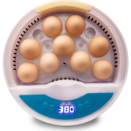 Intelligent Automatic Egg Incubator Duck Bird Chick Hatchery Incubator Brooder Machine Household Egg Breeder Farm Tools EU