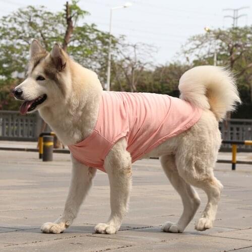 Summer Solid Color Medium Dog Vest Pure Cotton Breathable T-Shirt for Dogs Golden Retriever Pet Dog Clothes Dog Supplies