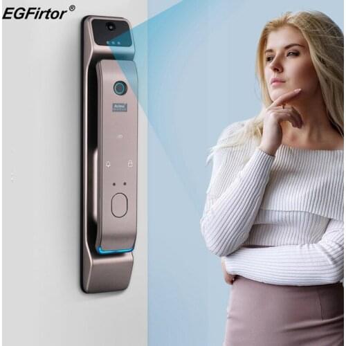 3D Infrared Face Recognition Door Lock Wifi APP Palm Print Fingerprint Password IC Card Automatic Smart Electronic Door Locks
