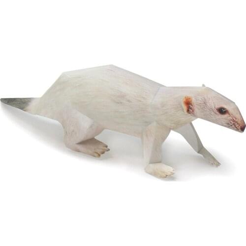 White Stoat Ermine Folding Mini Cute 3D Paper Model Papercraft Realistic Animal DIY Kids Adult Craft Handmade Toys WE-004