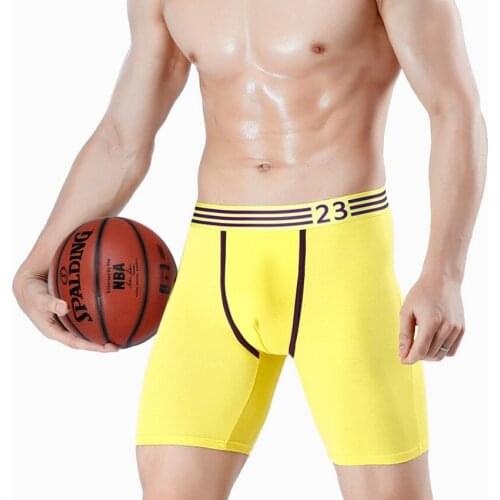 2 pack men cotton High elasticity long leg boxers mid-waist mens boxer briefs coton boxershorts panties trunk underwear