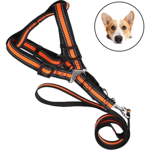 Pet Dog Leash Adjustable Reflective Strap Pet Leash Training Lead with Vest Harness for Dog Walking