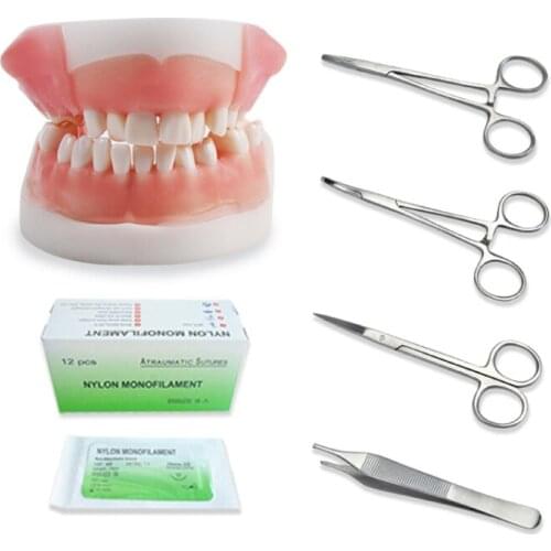 Oral suture practice model with needle and thread periodontal detachable gum suture model