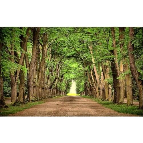 Custom photo wallpaper 3d wallpaper for walls 3 d Road woods landscape murals TV background wall papers home decorative painting