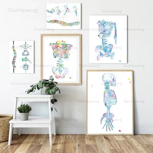 Decoration Skeleton Art Canvas Prints and Posters Physiotherapist Wall Art for Body Painting Wall Pictures for Chiropractic Room