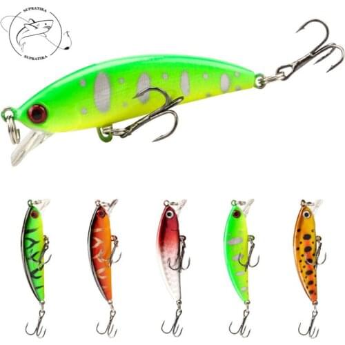 Bionic Minnow Sinking Wobblers 58mm/4.8g Freshwater Plastic Fishing Bait 3D Eyes Anti-Corrosion Professio Fishing Lure Hard Bait