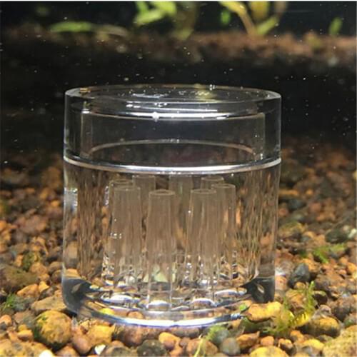 8 Hole Snail Trap Transparent Leech Vivarium Planarian Pest Catch Pen Red Bee Shrimp Worm Bait Feeding Box Aquarium Cleaner Tool