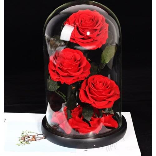 Hot Beauty And The Beast Red Rose In A Glass Dome On Rose Living Room Bedroom Table Decorations Valentines Day Birthday Gifts