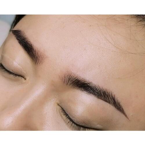 Mastor Microneedle Permanent Makeup Tattoo Machine