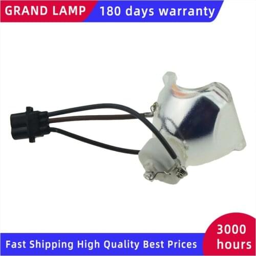 PLC-WXU700/PLC-XU101/PLC-XU105/XU106 /XU111/XU115/XU116/WU3800 Compatible Projector Lamp for SANYO POA-LMP111 HAPPYBATE