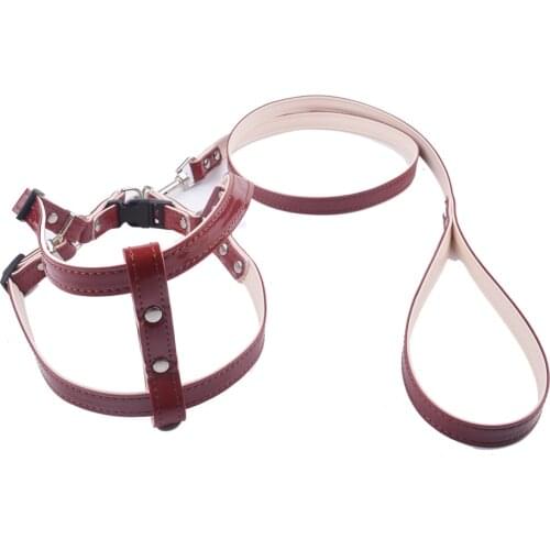 Puppy Collars Dog Harness Leashes Sets For Small Dogs Pet Walking Leads Dog Halter Harnesses Chihuahua Yorkshire Pet Products