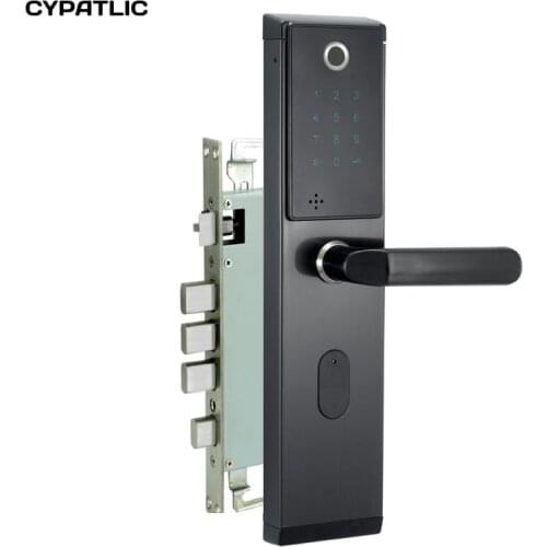 New Arrival Biometric Fingerprint Door Lock Intelligent Electronic Lock Fingerprint Verification With Password & RFID Unlock
