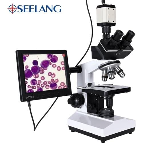 Цифровые камеры OSEELANG China At AliExpress