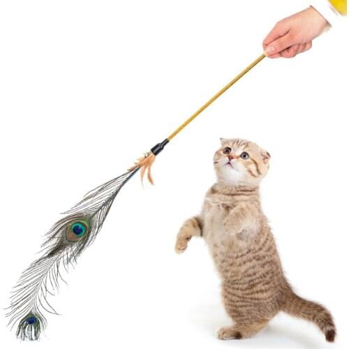 Pet Cat Feather Toy bells Cute Design Wire Feather Teaser Wand Plastic Toy Cat Play Feather Teaser Toy For Cat interactive fun