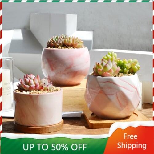 Succulent Geometric Plant Pot Pink Small Desk Modern Balcony Flowerpot Indoor Home Minimalist Cactus Macetero Decoration ZZ50HP