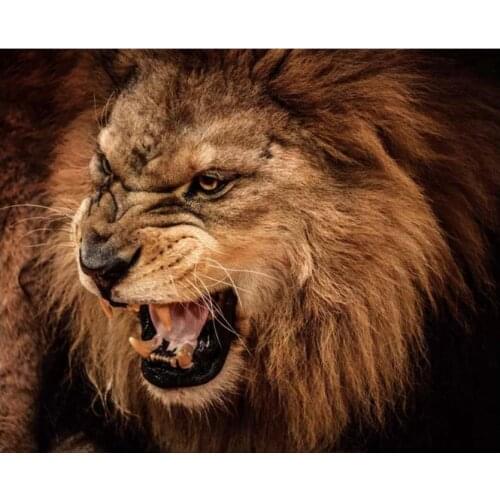 Full square diamond painting lion head animals embroidery mosaic diamond dotz rhinestone picture puzzle toy drawing wall decor