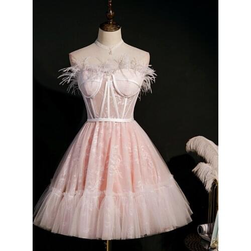 Lolita dress pink feather tutu lace short ball gown medieval dress Renaissance gown queen Victorian dress /Belle Ball