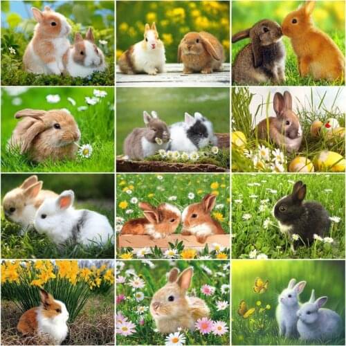 RUOPOTY 60x75cm Frame Painting By Number For Adults Acrylic Paint On Canvas Rabbit Animals Coloring By Numbers For Home Decors