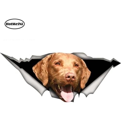 HotMeiNi 13cm x 5.6cm Car Styling Chesapeake Bay Retriever Car Sticker Torn Metal Decal Reflective Stickers Waterproof Decals