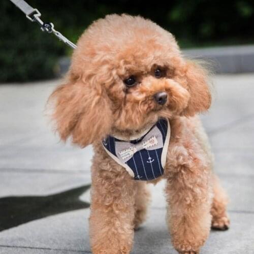 The dog protective car seat cushion and pet cushion are waterproof and ideal for transporting dogs for Subaru car