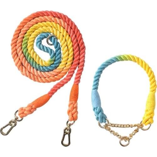 Gradient Color Dog Half Pinch Collars Dogs Leashes Rope Metal Chain Collar Strap Pet Outdoor Walking Training Long Traction Rope