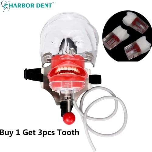 Dental Simulator Head Model The Head Model Can Be Installed On The Pillow Of The Dental Chair It Is Used For Dentist Teaching