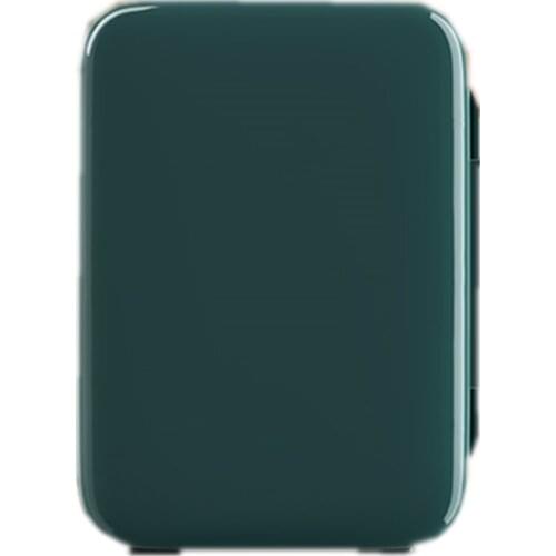 220V Professional Beauty Refrigerator Skin care Cosmetics small Refrigerator Intelligent Preservation