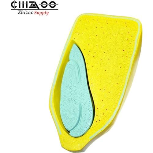 Maize grain anatomical model junior high school biological plant model