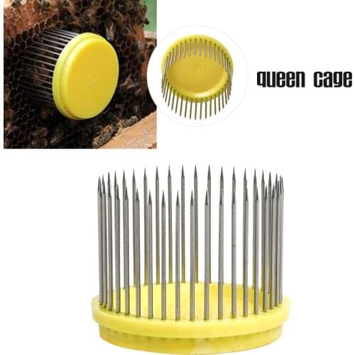 Beekeeping Queen Queen Needle Type Bee Cage stainless Steel queen Catching Catcher Goods Tools For Beekeeper Supplies