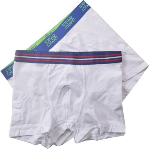 4 Pieces Europe brand boys solid white trunk sport boxers cotton shorts kids briefs child panties children underwear pants 2-14Y