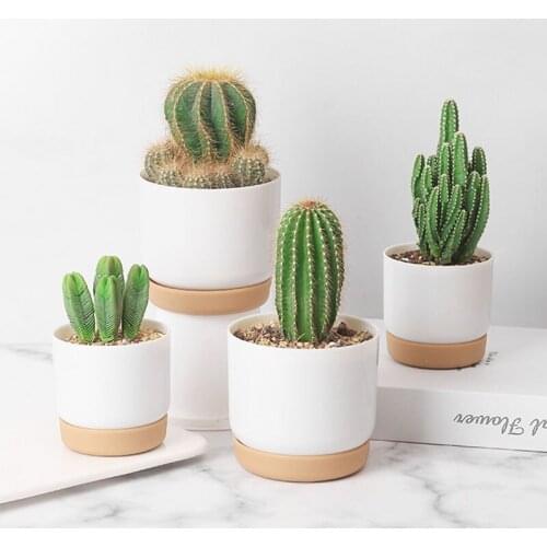 Home Garden Decoration Flowet Pot Creative Double-layer Planter Imitation Ceramic Plastic Planter Automatic Water Absorption