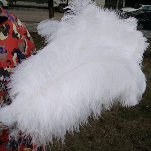 Wholesale 10 pcs High Quantity 30-32inch/75-80cm White "Thick Stem" Male Ostrich Feathers DIY Jewelry Craft Making Decoration