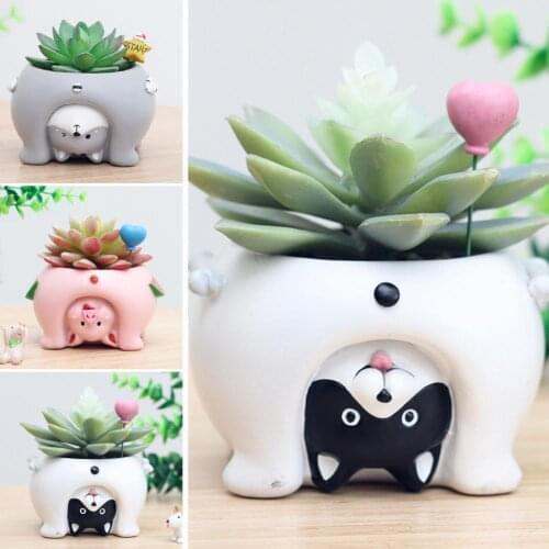 Cute Animal Cats Pig Dog Mini Resin Succulent Pots Juicy Plant Cactus Containers Small Bonsai Succulent Planters Pots Home Decor