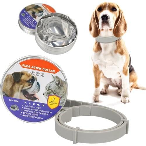 Flea-free collar Teddy small, medium and large dog lice repellent collar pet pet small dog accessories