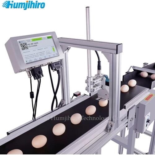 Inkjet Printer QR Code Printing Egg Duck Egg Batch Number Date Number Logo Expiry Date Production Line Automatic Inkjet Printer