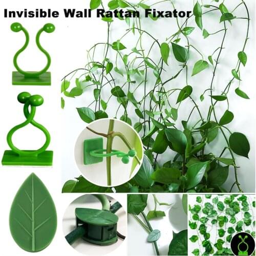Invisible Wall Rattan Clamp Plant Climbing Wall Self-Adhesive Fixator Vine Buckle Hook Rattan Fixed Clip Bracket Plant Stent Sup