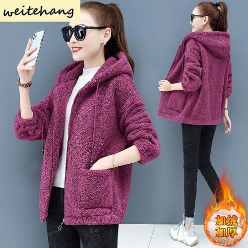 Fashion Lamb Velvet Sweater Women Plus Velvet Thick New Autumn Winter Loose Jacket Coat Zipper Cardigan Teddy Velvet Jacket 538