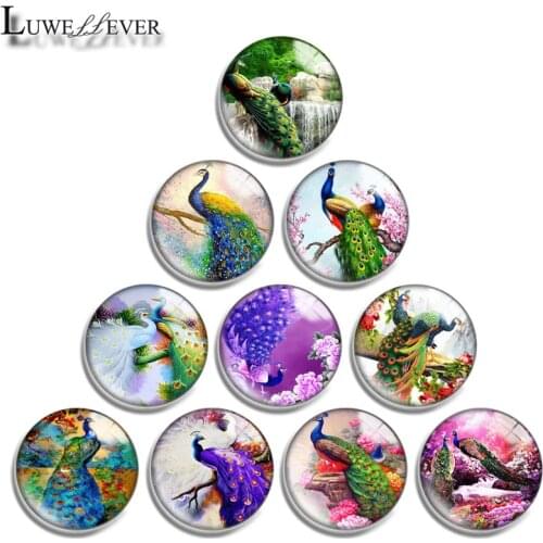 10mm 12mm 16mm 20mm 25mm 30mm 656 Peacock Mix Round Glass Cabochon Jewelry Finding 18mm Snap Button Charm Bracelet