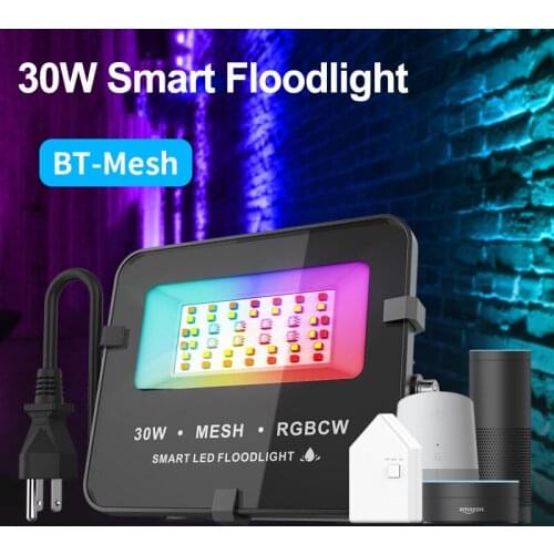 RGB Bluetooth Smart Flood Light Led Low Voltage Color Light 30W Flood Light Home Courtyard Atmosphere Stage Light