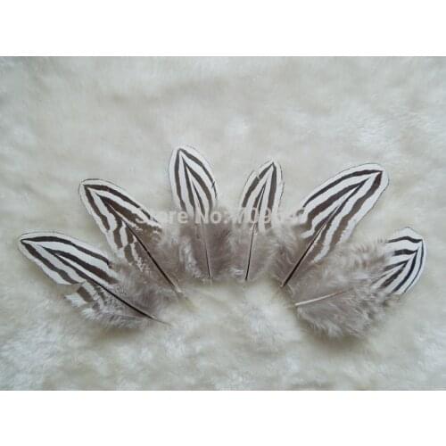 100Pcs/Lot! 7-10cm SILVER PHEASANT PLUMAGE FEATHERS With Thick Bars,Loose Feathers for Milliners,Fascinators&Fly Tie Fisherman