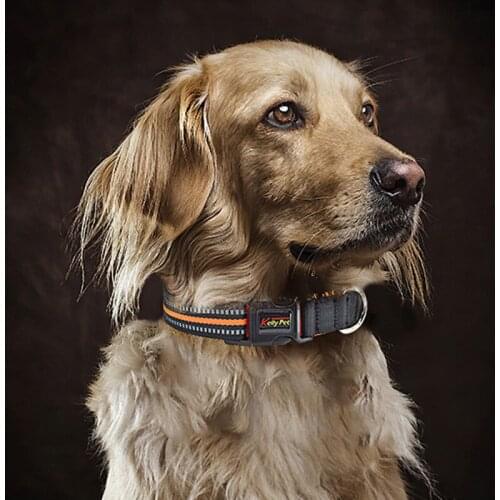 Reflective Dog Collar Heavy Duty Clip Buckle Pet Collar for Small Medium Large Dogs Chihuahua Dog