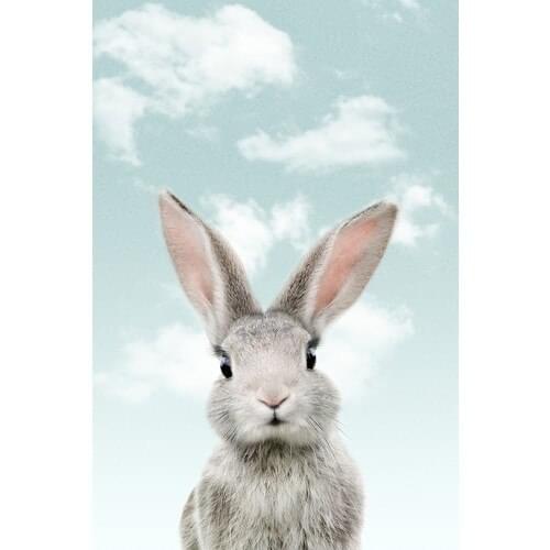 Tamtam Store Little Rabbit for Children Matte Photo Paper Blue Background 30x40 cm