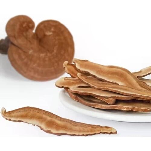 10 bottles Tien Cordyceps