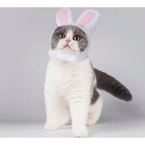 PET ARTIST Clothes For Cats