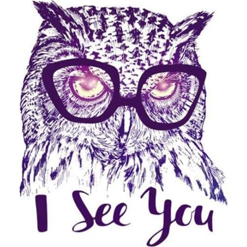 Animal PVC Patch deal with it Clothes Owl I see you Heat Transfer Printing T shirt Women iron on patches for clothing Stickers