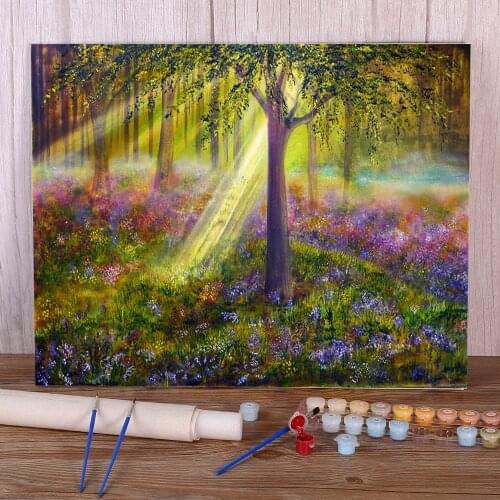 Natural Scenery Bluebell Woods Painting By Numbers Complete Kit Acrylic Paints 40*50 Boards By Numbers Handicraft